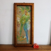 Papużki - suche pastele