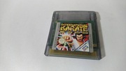 International Karate 2000 Game Boy Color