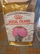 Karma dla kota Royal Canin British Shorthair Kitten 10 kg