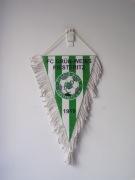 FC GRUN - WEISS PIESTERITZ NIEMCY PROPORCZYK