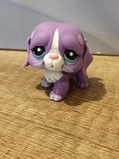 Littlest Pet Shop LPS  