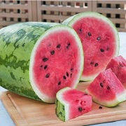 Nasiona arbuza Jubilee 