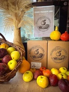 Sok Tłoczony jabłkowy- 100% naturalny Jabłka i Mięta