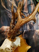 SREBRNO MEDALOWE PAROSTKI SARNY ROGACZA 560 g.