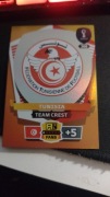 Tunisia Team Crest     [POLSKA]