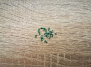 Oryg Zestaw Śrubek Śrub Xiaomi Redmi Note 8T 