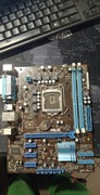Płyta główna ASUS P8H61-M LX