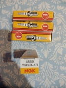 Świece zapłonowe NGK TR5B-13