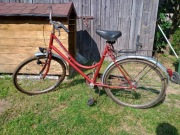 Rower Amsterdam damka bordowy