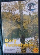 Bory Tucholskie Dvd