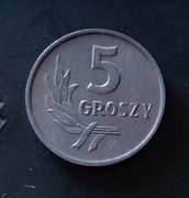 5 groszy 1963 polecam