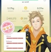 ZŁAPANIE 5x 100% iv Hundo POKEMON GO 