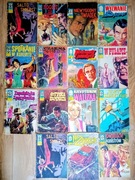 Kapitan Żbik , tylko pierwsze wydania