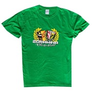 Koszulka T-shirt WKS ŚLĄSK WROCŁAW FC Żórawina Lechia Gdańsk Motor Lublin