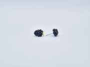 Kolczyki sztyfty/wkrętki jeżyny z modeliny fimo 