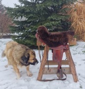 Futro na siodło westernowe