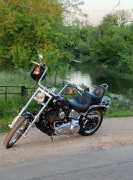 Harley Davidson sofitail custom 