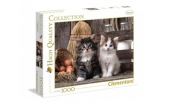 Puzzle Clementoni 1000 HQ Lovely Kittens koty kocięta