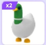 Silly duck | Roblox | Adopt me |