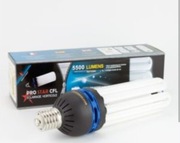 Lampa CFL 125W Spectromaster - 8U - 6400K Wzrost