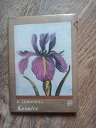 Kosaćce Lubowicka PWRiL 1984