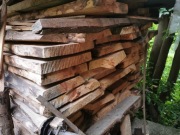 Foszty jesionowe i sosnowe