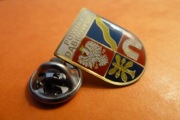 Dąbrowa Tarnowska Powiat Herb pins przypinka