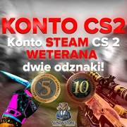 20 LETNIE KONTO STEAM CS:GO ODZNAKI WETERANA FACEIT CS2