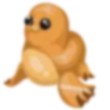 Galapagos Sea Lion Adopt Me AM