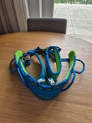 Uprząż Climbing Technology Wall NE – green/blue rozmiar M-L