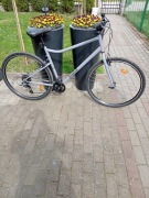 Sprzedam rower Riverside 120 rama L