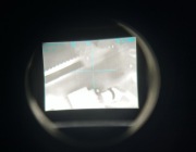 Termowizor termowizja celownik termowizyjny RIS 22mm ASG luneta noktowizor