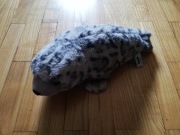 zabawka pluszak foka 