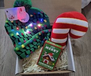 Box prezent mikołajki święta czapka ledy chłopiec maskotka klocki