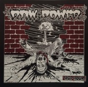 Raw Power  – Wop Hour 1984-1994  CD   trash, hardcore, punk  Italy 