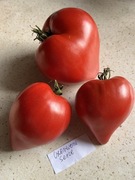 Pomidor Czerwone Serce, kolekcjonerskie nasiona