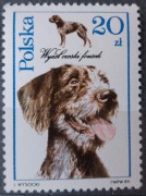 Polska 3051 Psy myśliwskie 1989 