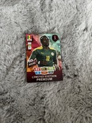 karty FIFA world cup qatar2022 limited premium