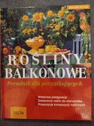Rośliny balkonowe 