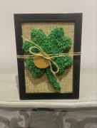 Obrazek z Mchu Chrobotka 