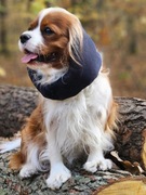 Snood siateczkowy granatowy Cavalier Hugme