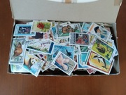 PUDEŁKO PEŁNE ZNACZKÓW OKOŁO 10 TYS SZTUK(0,5 KG)