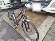 hercules trekking d24