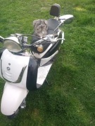 Skuter retro 50 Fosti 