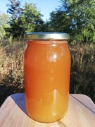 Miód wielokwiatowy 2025 z małej pasieki