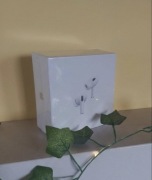 Apple Air Pods Pro