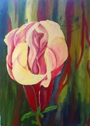 Magnolie -kwiatów czar