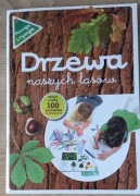 Drzewa naszych lasów. Zeszyt z kalką do odrysowywania