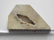 Kalcyt w dolomicie wycinanka Sławniowice Nysa prywatne zbiory