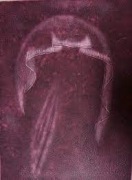 Grafika akwaforta akwatinta